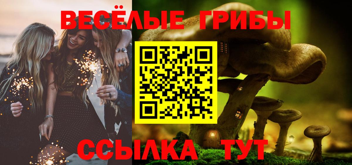 Галлюциногенные грибы Psilocybine cubensis Минеральные Воды