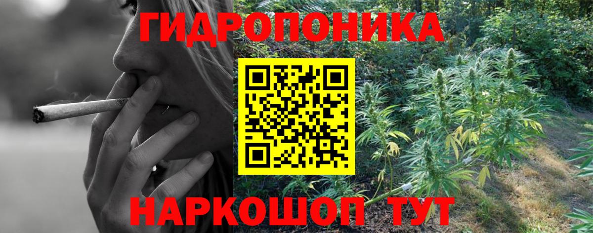 Бошки марихуана гибрид  МАРИХУАНА индика  Шишки марихуана сатива  Вход с VPN  Минеральные Воды 