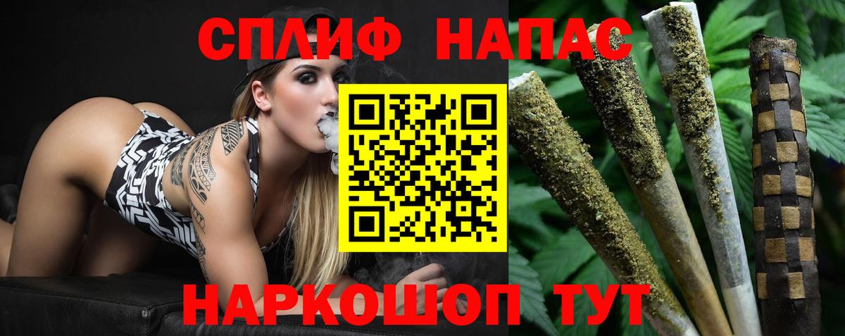 Конопля план Минеральные Воды